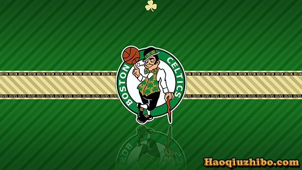 1990-91赛季NBA凯尔特人队阵容球员名单一览