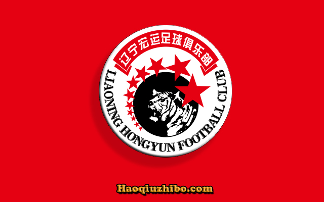 2014-2015赛季中超辽宁宏运球员大名单及最新阵容一览