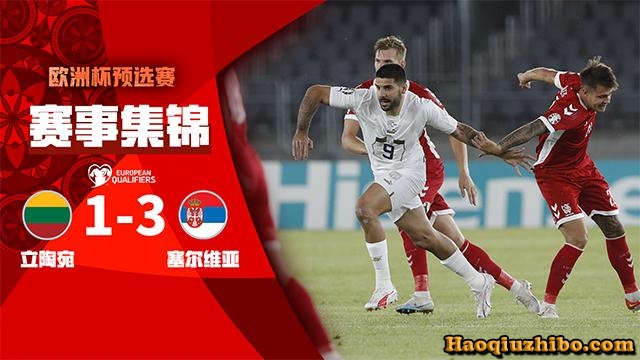 09月11日 欧洲杯外围赛 立陶宛vs塞尔维亚 全场录像